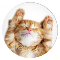 Popsockets 2 Snoozy Cat 70072 Basic