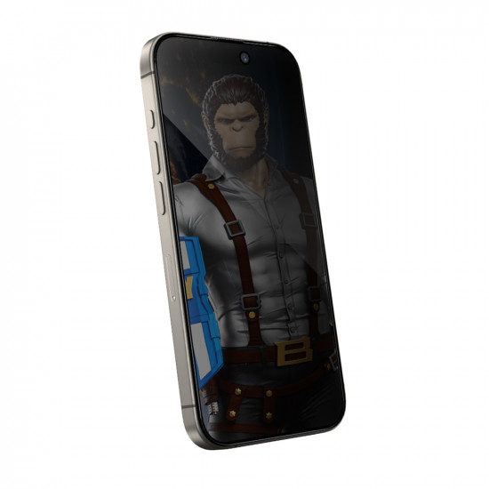 Blueo Anti Peep Privacy Glass iPhone 16 Pro Max / iPhone 17 Pro Max Matte Black