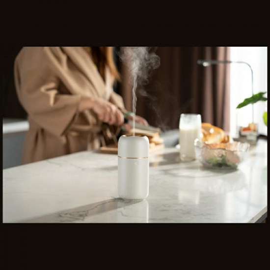 Diffuser Natural Origin Chic gold