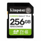 Kingston Memory Card Canvas Select Plus (SDS3/256GB) SDXC, 256GB, UHS I U1, V10, A1 Black Kingston Memory Card Canvas Select Plus (SDS3/256GB) SDXC, 256GB, UHS I U1, V10, A1 Black