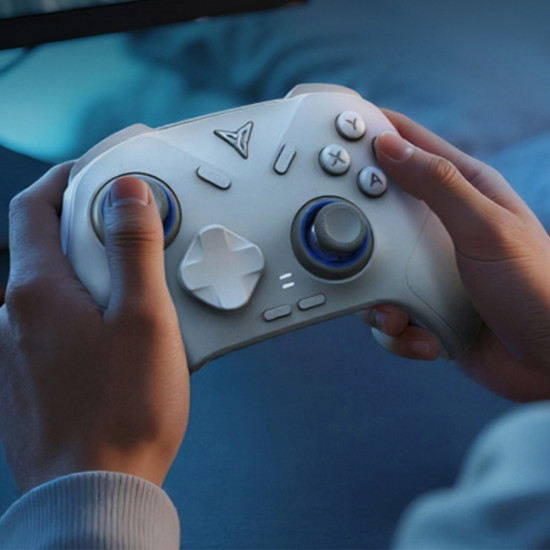 Universal controller for games Bluetooth Flydigi DIREWOLF 4 white