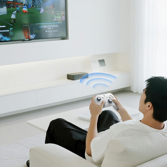 Universal controller for games Bluetooth Flydigi DIREWOLF 4 white