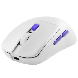 Proove Wireless Mouse Everon (WMEV00022002) for Gaming, Type C, 6 Buttons, 800 10000DPI, 500mAh, 1.5m White
