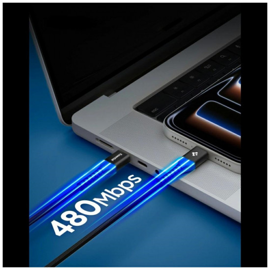 Cable Spigen EB10010CCA Essential USB-C 100W 1m black