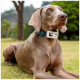 ENABOT GPS tracker for dog or cat white ENABOT GPS tracker for dog or cat white